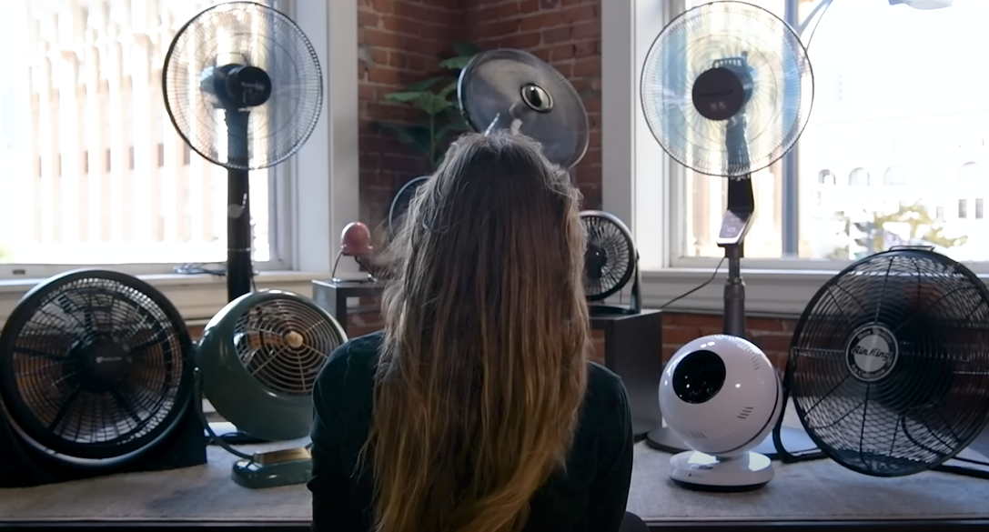 Girl in front of various fans