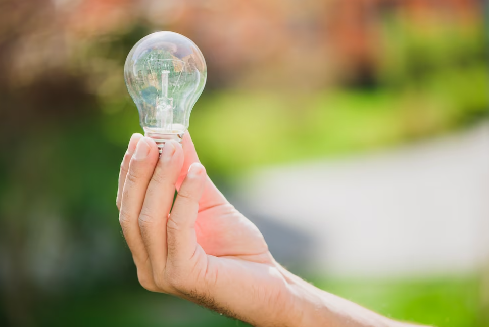 hand holds a light bulb in front of green grass